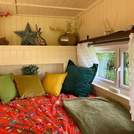 Neddys Rest Luxury Horsebox Stay แบทเทิล ภายนอก รูปภาพ