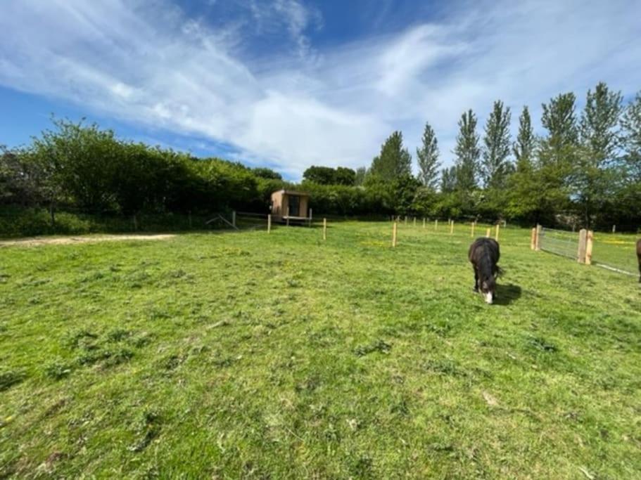 Neddys Rest Luxury Horsebox Stay แบทเทิล ภายนอก รูปภาพ